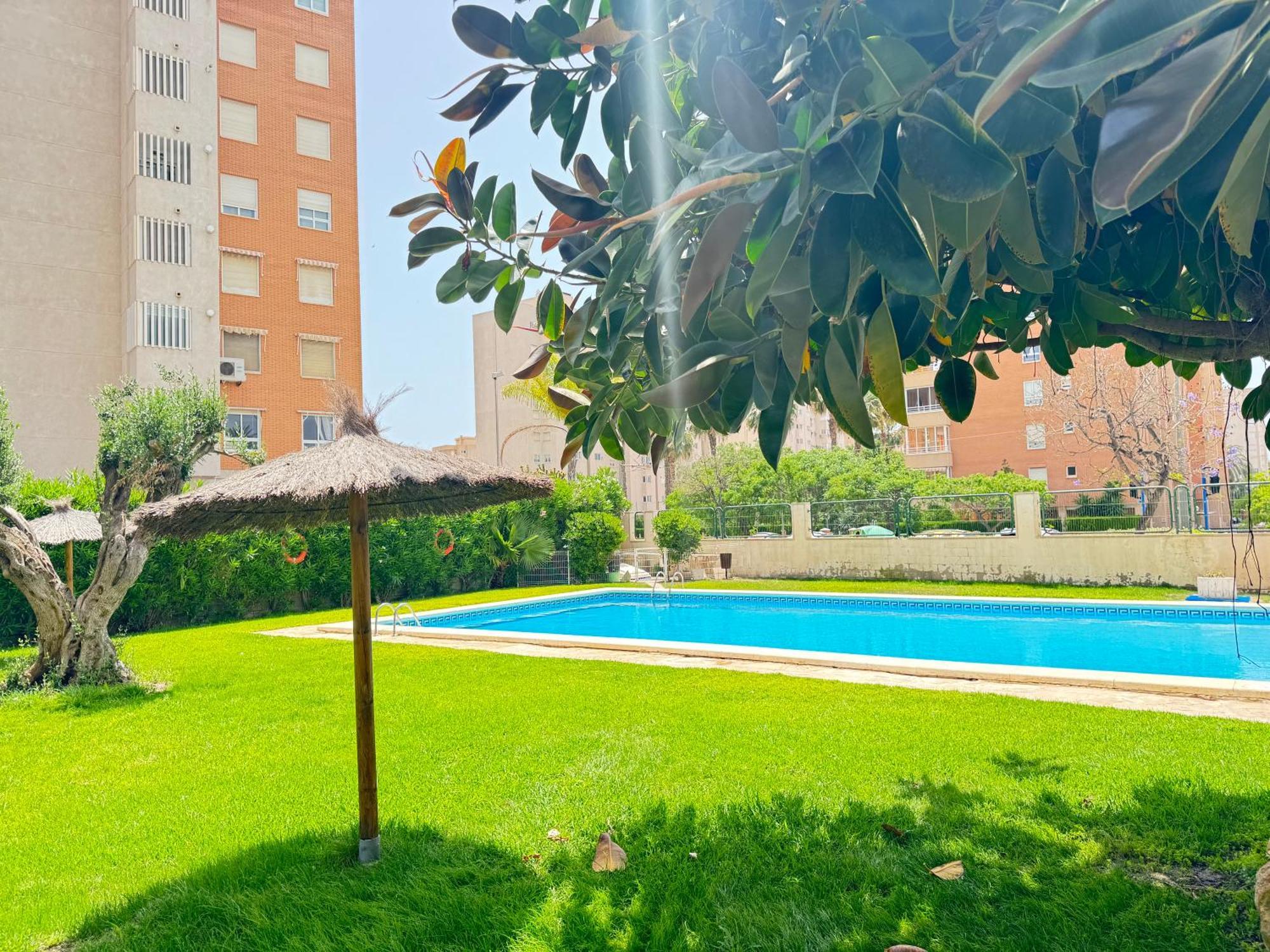 Estudio Con Piscina Аликанте Экстерьер фото